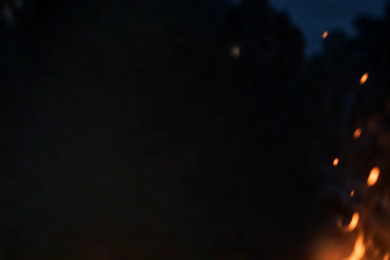 An adult and a child, faces lit from below, looking into the fire.